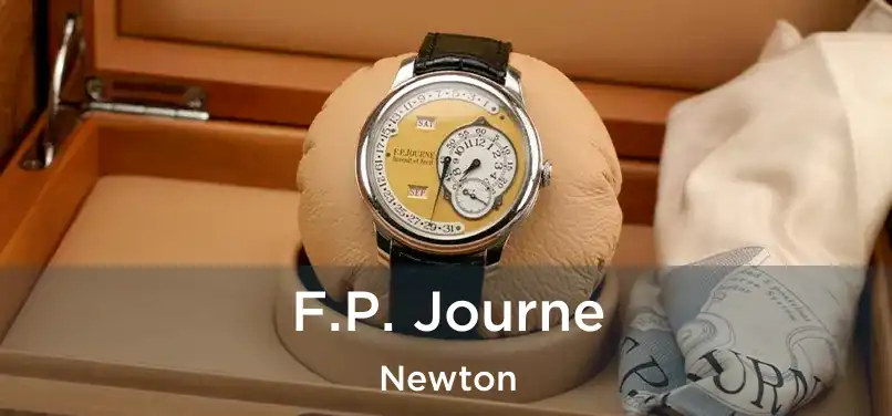 F.P. Journe Newton