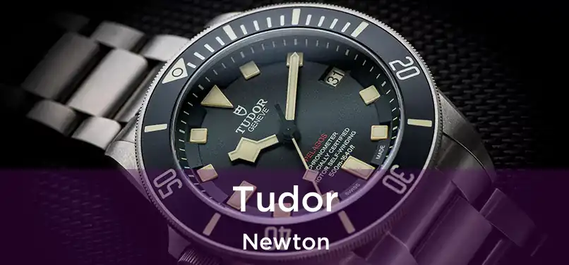 Tudor Newton